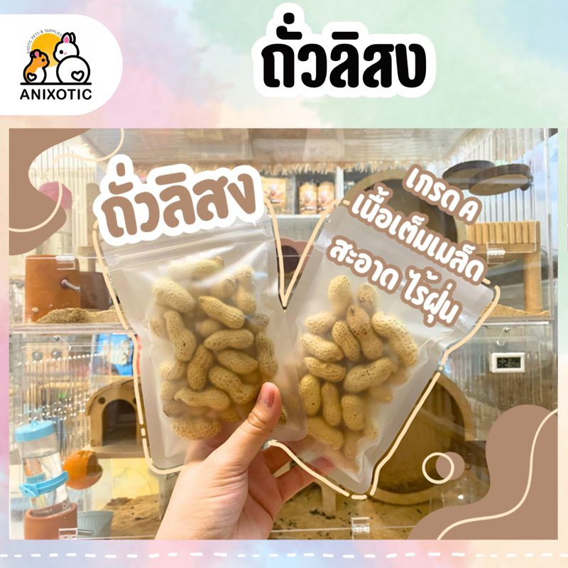 ถั่วลิสง ถั่วสำหรับสัตว์เลี้ยง ถั่วแฮมสเตอร์ ถั่วดัมโบ้แรท ถั่วกระรอก