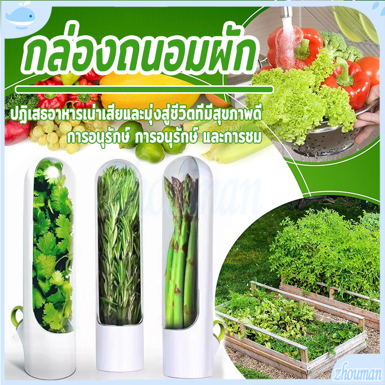 กล่องถนอมผัก ถ้วยถนอมผักชีสมุนไพร ป้องกันฝุ่นและรักษาความสดใหม่ ขนาดกะทัดรัดประหยัดพื้นที่ ลดการเกิดกลิ่นในตู้เย็น