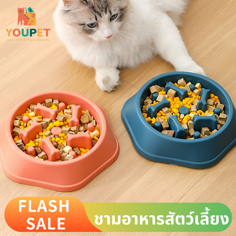 🐾ชามอาหารสัตว์เลี้ยง ชามฝึกกินช้า ลดการสำลัก ใช้ได้ทั้งแมวและสุนัข ล้างง่าย ส่งของในไทย🐶🐱
