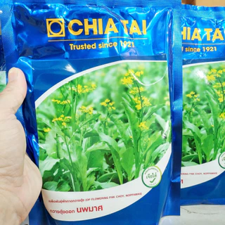เมล็ดพันธุ์กวางตุ้งดอก กวางตุ้งดอกนพมาศ ตราเจียไต๋ 100, 500 กรัม กวางตุ้งดอก นพมาศ