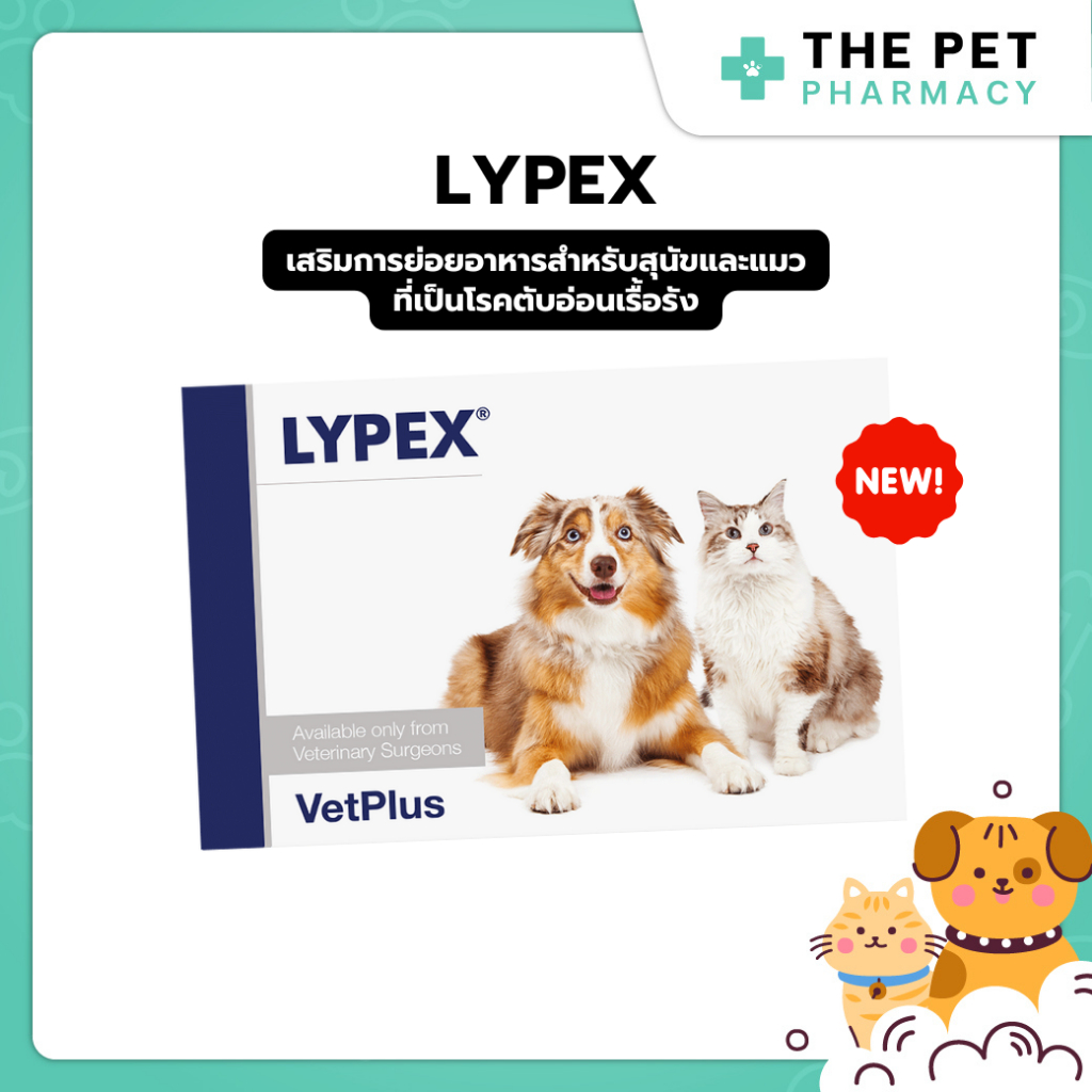 Lypex ไลเป็กซ์ เสริมการย่อยอาหารสำหรับสุนัขและแมวที่เป็นโรคตับอ่อนเรื้อรัง 3 เดือน ขึ้นไป Exp.31.07.
