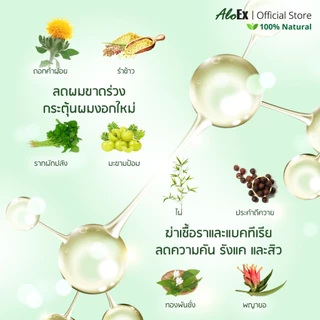 AloEx Organic Extra Mild Shampoo แชมพูลดผมร่วง สร้างผมใหม่ สูตรอ่อนโยน สำหรับผิวแพ้ง่าย