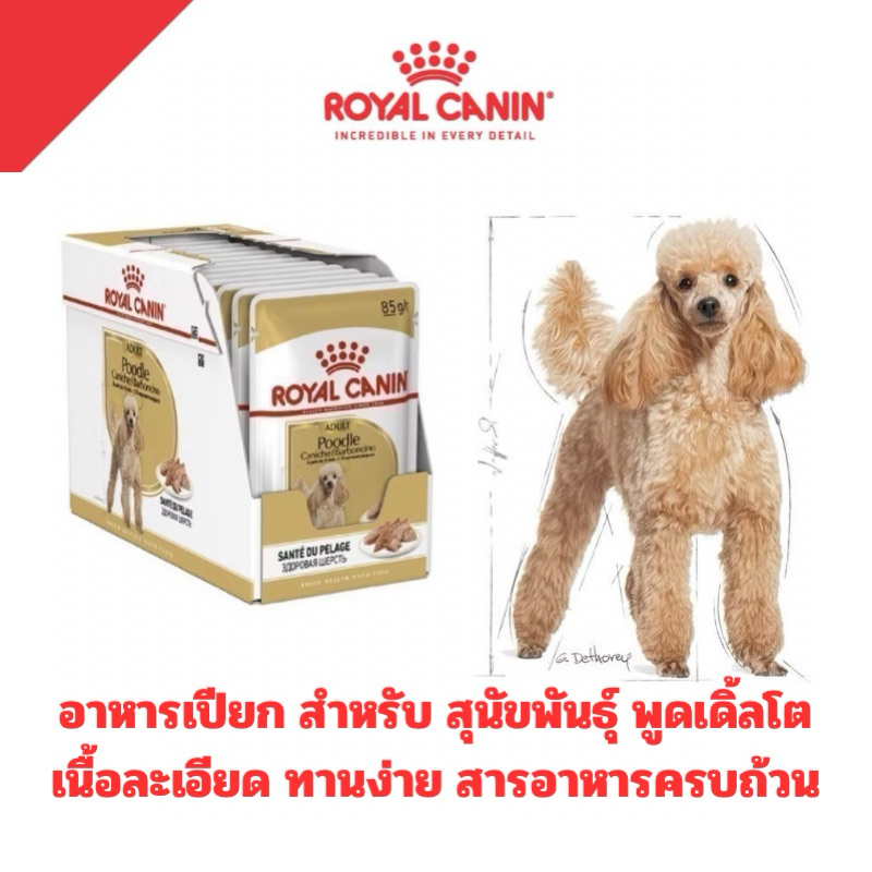 [ลดราคาลง] ROYAL CANIN อาหารเปียกสุนัข พุดเดิ้ล POODLE ADULT เนื้อโลฟ [1กล่อง12ซอง]