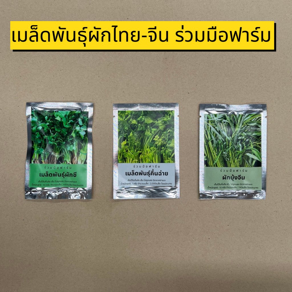 เมล็ดพันธุ์คื่นฉ่าย ผักชี ผักบุ้งจีน ตราร่วมมือฟาร์ม