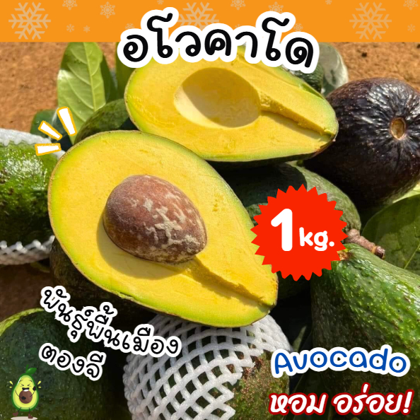 อโวคาโด Avocado ⚡ เก็บใหม่ตามออเดอร์  📌 พันธุ์พื้นเมืองตองจี อร่อย มัน หวาน ฉ่ำน้ำ เนื้อเนียน อะโวคาโด้ ผลไม้สดตามฤดูกาล