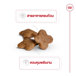 [EXP6/2027] Royal canin Mini adult 8+ 8 กก. อาหารสุนัขสูงวัย 8 ปีขึ้นไปพันธุ์เล็ก