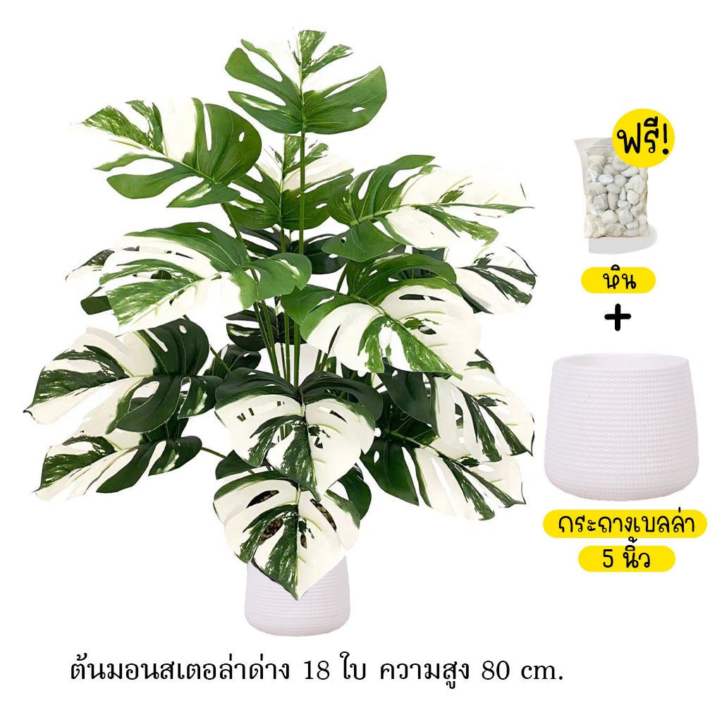 (ส่งด่วน)ต้นไม้ปลอมใหญ่สูง 80-85 cm. ต้นมอนสเตอล่า พร้อมกระถางสีขาว ต้นไม้ประดิษฐ์ มี 18 ใบต้นไม้ปลอมใหญ่ มอนสเตอล่า ฟรี