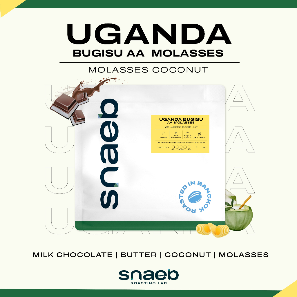 Uganda Bugisu AA  Fully Washed  Molasses Coconut | เมล็ดกาแฟคั่ว คั่วกลาง Snaeb Coffee