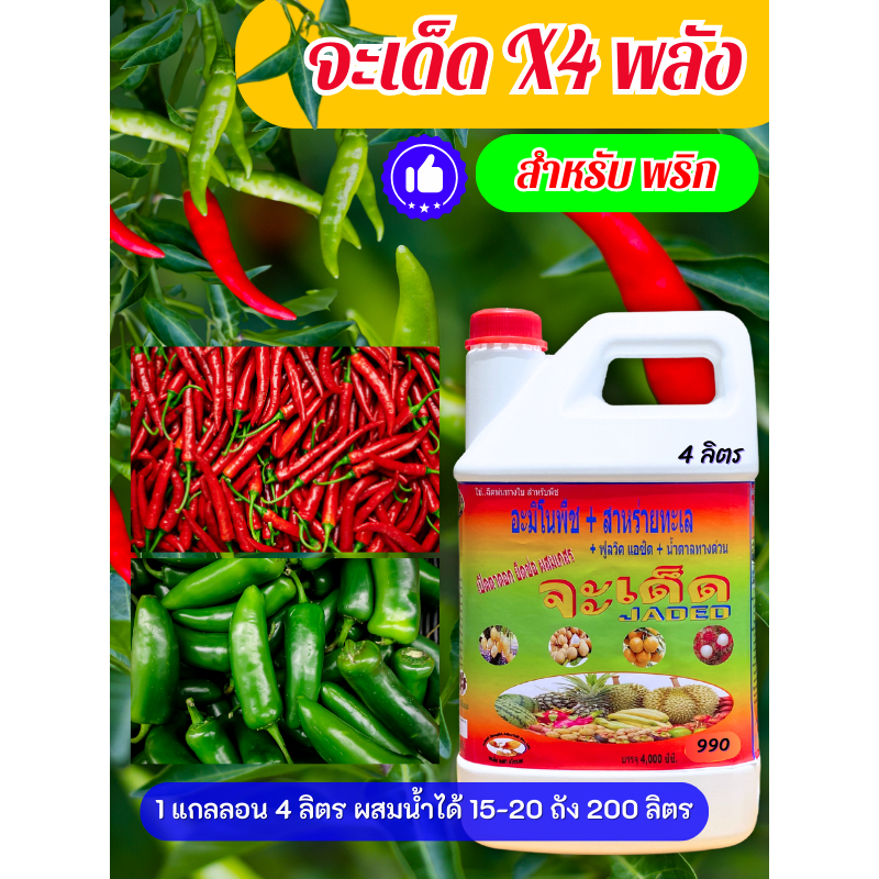 จะเด็ด “สูตร X4 พลัง” ฉีดพ่นทางใบ สูตรสำเร็จสำหรับ “พริกทุกชนิด” ลดการใช้ปุ๋ยเคมี พืชสมบูรณ์ โตไว