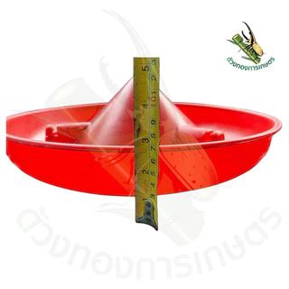 ถังอาหารไก่ใหญ่10kg(ป้องกันไก่เขี่ย)