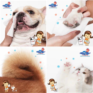 [6 ห่อ] Sukina Petto Pet Wipes ทิชชู่เปียก ผ้าเปียกสัตว์เลี้ยง ไซส์ 22x22cm ห่อใหญ่บรรจุ 70 แผ่น