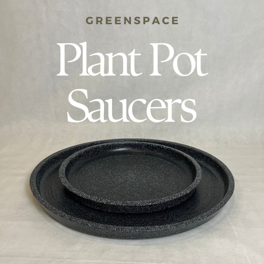 จานรองกระถางต้นไม้ ขนาดใหญ่ Pot Saucers  (50cm/70cm/90cm)