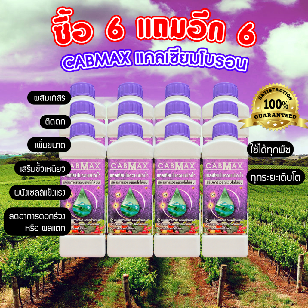 CABMAX ซื้อ6แถม6 แคลเซียมโบรอนเข้มข้น ใช้ได้กับพืชทุกชนิดทุกระยะ เร่งดอกเร่งผลขั้วเหนียว (C12+เสื้อ)