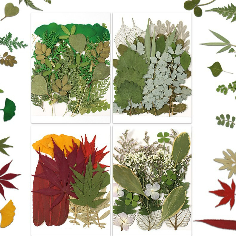 21 ชิ้นวัสดุใบไม้สีเขียวแพ็ครวมใบไม้จริงพืชตัวอย่าง DIY แฮนด์เมดเด็กสติ๊กเกอร์นูนหยดกรอบรูป Bookmark