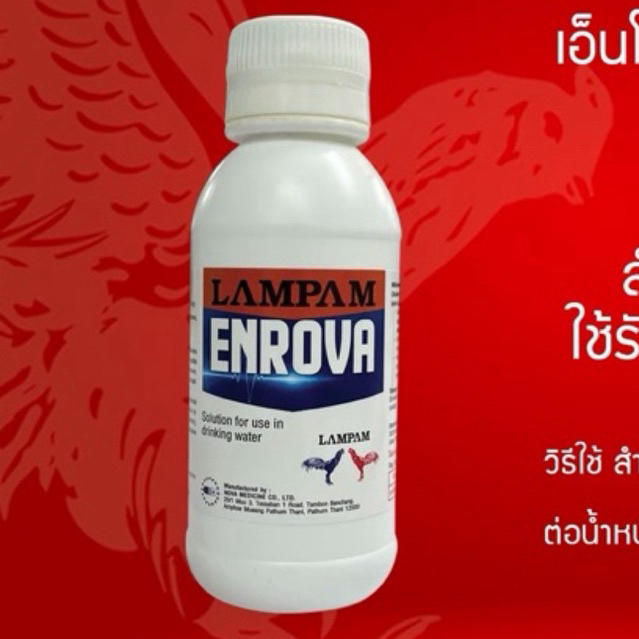 ลำปำ…อาหารสัตว์ปีกเอ็นโลว่า