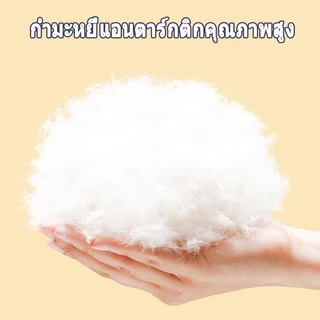 🛏️ ที่นอนแมวใหญ่ เบาะหมา ถุงนอนแมว ที่นอนสัตว์เลี้ยง เตียงสุนัข เตียงแมว เบาะสัตว์เลี้ยง นุ่มสบาย ด้านล่างมีกันลื่น