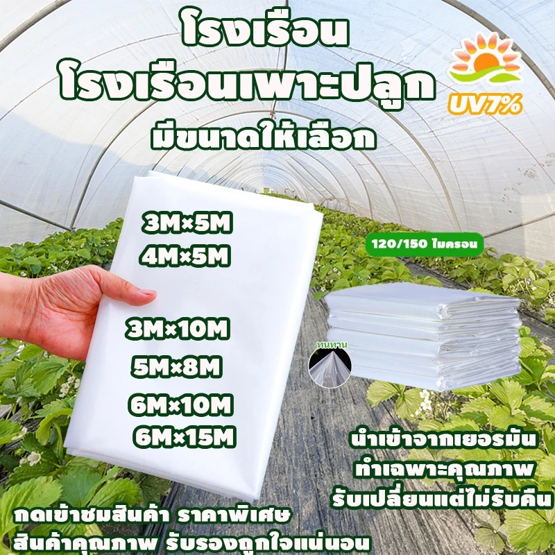พลาสติกคลุมโรงเรือน กรีนเฮ้าส์ พลาสติกPE หนา 120/150 ไมครอน uv7% ขนาด เหมาะสำหรับงานกันซึมหลังคาเรือนกระจก ทำเฉพาะคุณภาพ