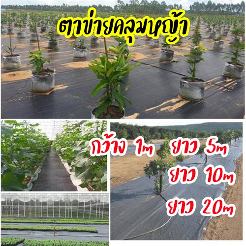 Landscape Fabric ตาข่ายคลุมหญ้า / พลาสติคคลุมดิน กว้าง1 ผลิตจากเม็ด PE อายุการใช้งาน 3-4 ปีขึ้นไป