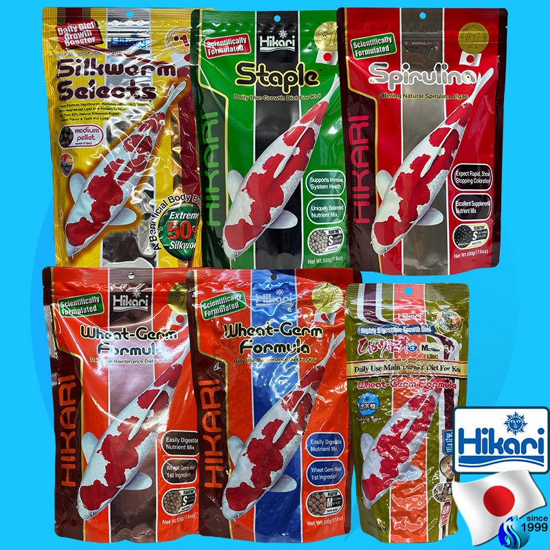 Hikari Economy / Silkworm / Staple / Spirulina / Wheat-Germ / Gold koi อาหารปลาคราฟ koi food อาหารปล