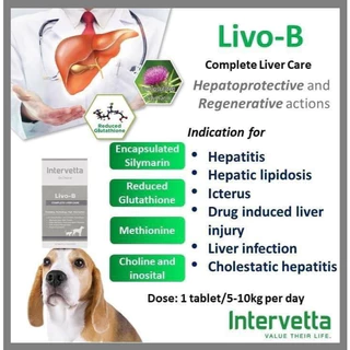 Intervetta Dr.Choice อาหารเสริม วิตามิน สำหรับสุนัขและแมวทุกสายพันธุ์ (100 เม็ด)