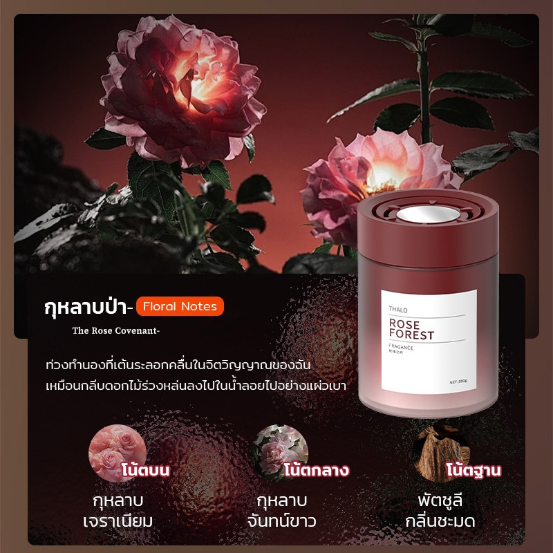 น้ำหอมปรับอากาศ เจลดับกลิ่น อโรมาเธอราพี หอมนาน สดชื่น ไม่ฉุน น้ำหอมรถยนต์ - รูปที่ 5