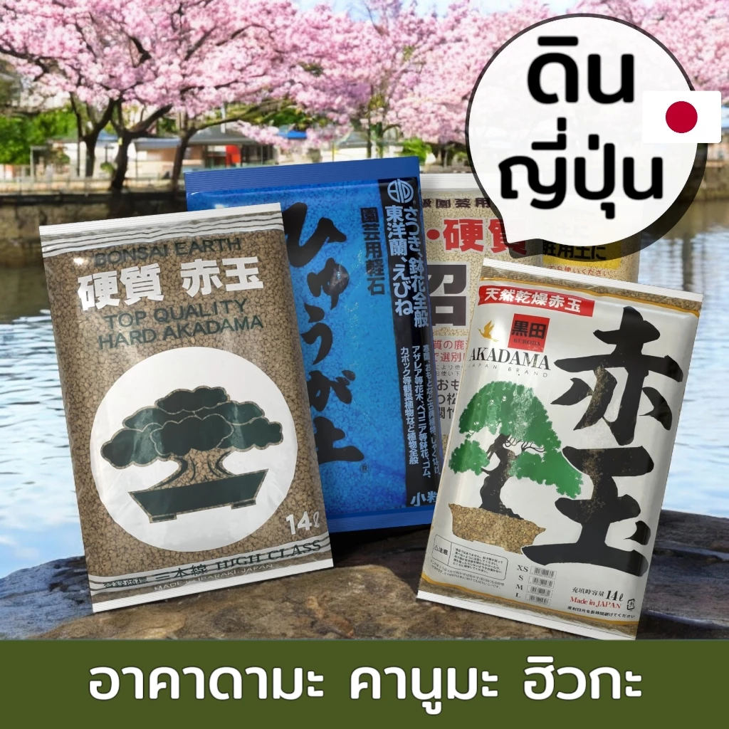 ส่งฟรี ‼️ | ดินญี่ปุ่น อาคาดามะ คานูมะ ฮิวกะ (แบ่งบรรจุ 4 ลิตร) Akadama Kanuma Hyuga