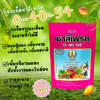 ชาลีเฟรท 0-40-54 (ปุ๋ยเกร็ดเม็ดขาวละเอียด) กระตุ้นการออกดอก …