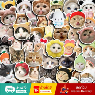 💥จัดส่งไว💥(389-แมว)สติกเกอร์รูปหัวน้องแมว 50 ชิ้น