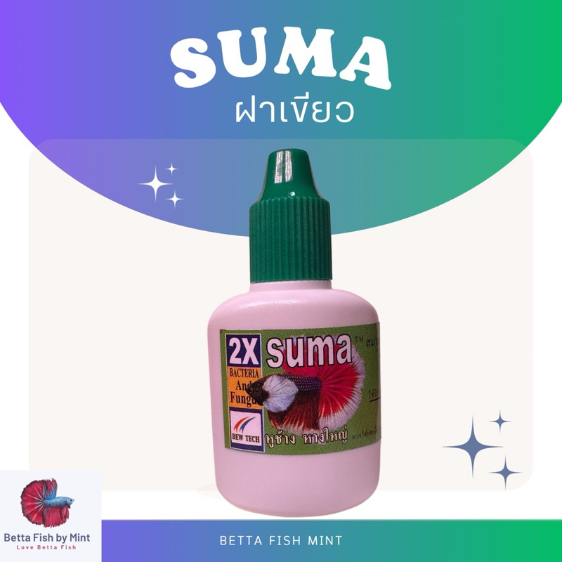 Suma ฝาเขียว สูตรอ่อนโยนดูแลปลากัดเป็นที่รัก