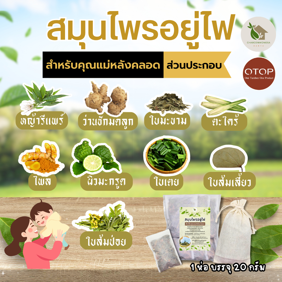 สมุนไพรอยู่ไฟ【ชุด 12 วัน】สมุนไพรอบตัว สูตรคุณแม่หลังคลอด พุงยุบ ลดไว ลดน้ำหนัก กระตุ้นน้ำนม รูปที่ 4