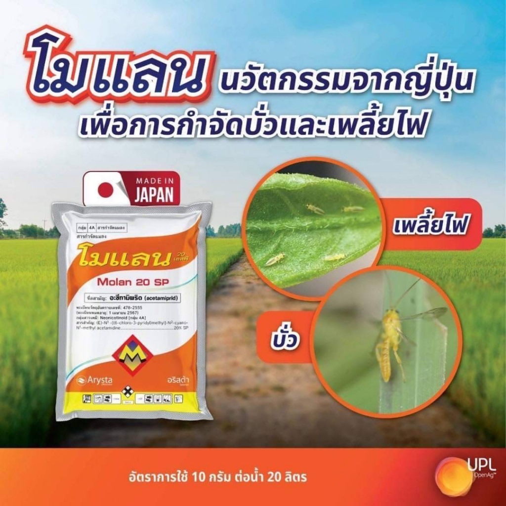 โมแลน 20เอสพี อะซีทามิพริด #เพลี้ยไฟ #แมลงหวี่ขาว ขนาด 10 กรัม