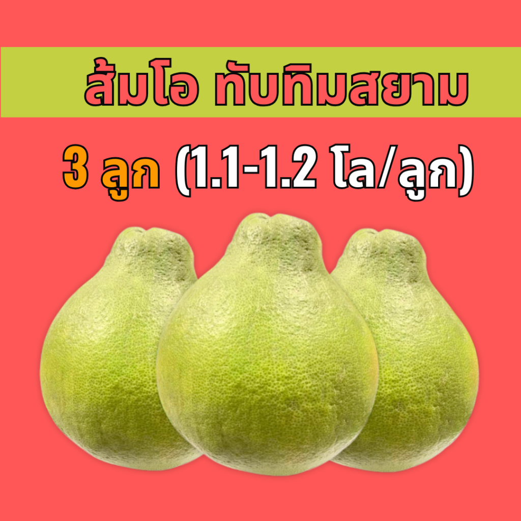 ส้มโอทับทิมสยาม Size L 1.1-1.2/ลูก (จำนวน 3 ลูก) เปลือกบาง ไร้เมล็ด