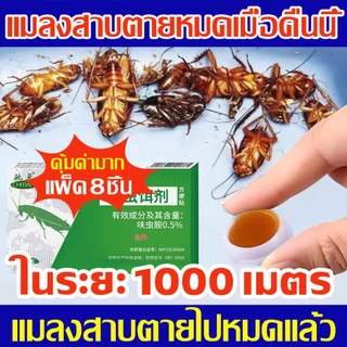 กำจัดแมลงสาบ ตุยยกทั้งรัง ยากำจัดแมลงสาบ เจลกำจัดแมลงสาบ กำจัดแมลงสาบทุกชนิด มี 8 แคปซูล