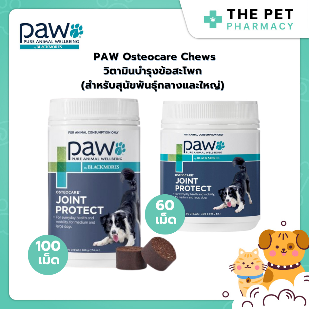 PAW by Blackmores Osteocare Joint Protect บำรุงกระดูกและข้อ สำหรับสุนัขพันธุ์กลางและพันธุ์ใหญ่ (แบบเคี้ยว)