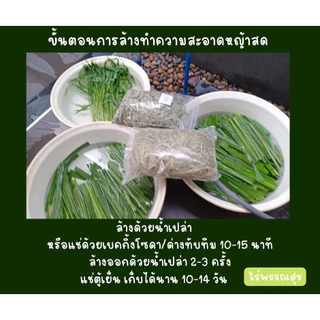 ใบหญ้าเนเปียร์ 1 กก ปลอดสารพิษ อาหารกระต่ายเต่าแกสบี้