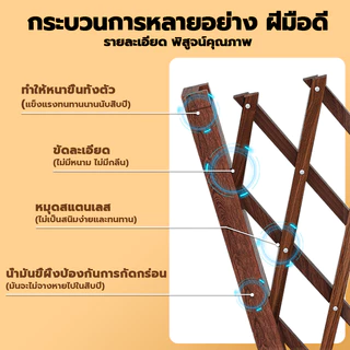 🏡สินค้าสต๊อกในไทย🏡รั้วตกแต่งสวน DIY รั้วไม้แบบยืดหดได้ รั้วต้นไม้ พื้นเรียบ รั้วกั้น ติดตั้งง่าย ใช้ 10 ปีไม่ชำรุด