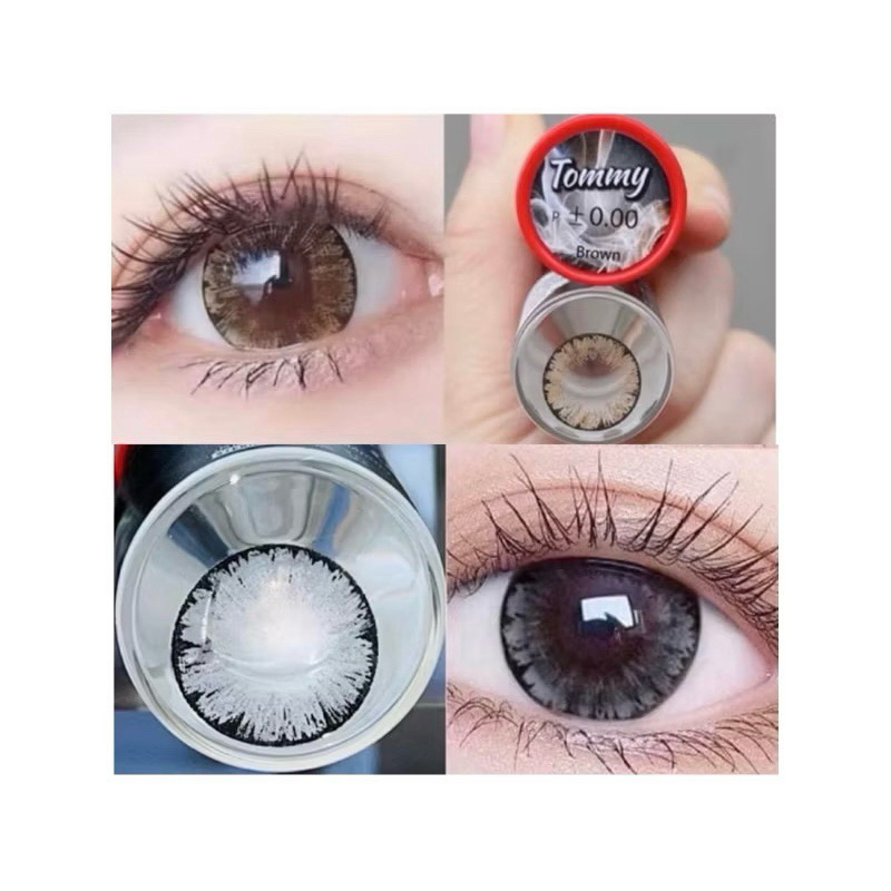 tommy gray tommy brown ทอมมี่สีเทาสีน้ำตาล ฝาแดงคอนแทคเลนส์สุดฮิตแฟชั่น คอนแทคเลนส์พร้อมส่ง