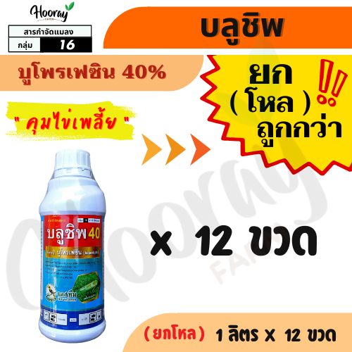 🔥 ยกโหล 🔥 บลูชิพ x 12 ขวด ( บูโพรเฟซิน 40% ) - กำจัดเพลี้ยกระโดด เพลี้ยอ่อน เพลี้ยไก่แจ้ คุมไข่