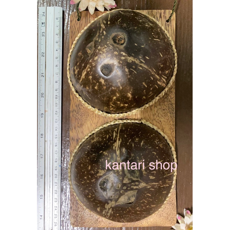 (เล็ก) กะลานวดเท้า กะลานวดเพื่อสุขภาพ คลายกล้ามเนื้อขา คอ เท้า หลัง - รูปที่ 2