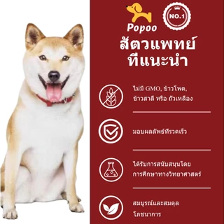 Popoo Aller-Immune Bites for Dogs Seasonal Allergies ขนมสุนัข อาหารเสริมสุนัข ผิวหนังและขน เสริมสร้างภูมิคุ้มกัน 120ชิ้น