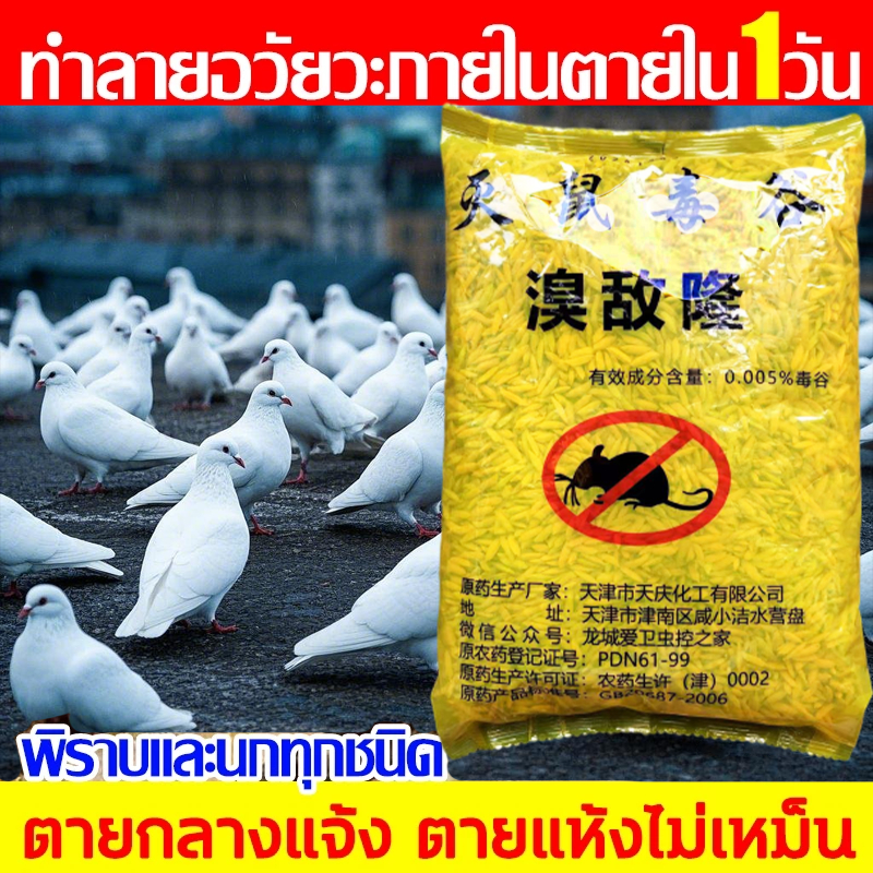1เม็ดได้ผลิ🐦️ ยาเบื่อนก ไล่นกพิราบ นำเข้าจากอเมริกาเหยื่อกำจัดนกวัน กันฝน กันแดด เหยื่อกำจัดนกพิราบ ยากำจัดนกพิราบ