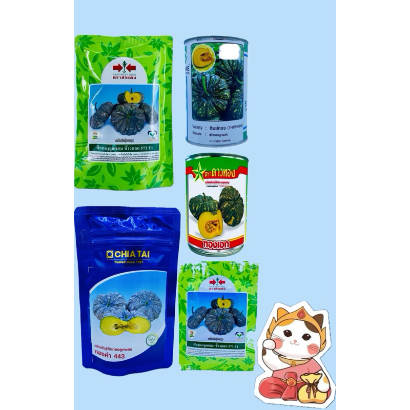 เมล็ดพันธุ์ ฟักทอง ลายข้าวตอก เมล็ดพันธุ์ฟักทองลูกผสม ลายข้าวตอก 573 ทิพย์ทอง ทองเอก เมล็ดฟักทอง ทองคำ บ.เจียไต๋