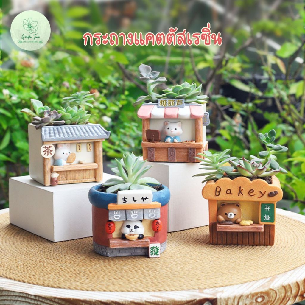 กระถางแคตตัส ร้านญี่ปุ่น ไม้อวบน้ำ ของแต่งบ้าน จัดสวน เรซิ่น กระบองเพชร 8x8cm Shop ของขวัญ