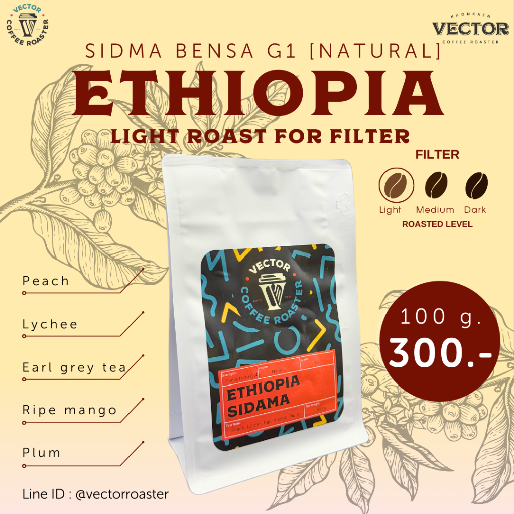 VECTOR: เมล็ดกาแฟคั่วอ่อนมาก Ethiopia Sidama Bensa Natural G1 สำหรับชง filter 100 กรัม
