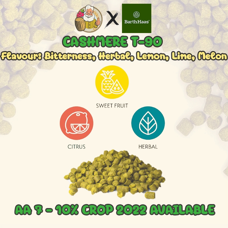 แคชเมียฮอปส์ Cashmere PELLET HOPS (T90) Crop Year  2022 hops ทำเบียร์ hops beer ฮอปทำเบียร์ hops Cas
