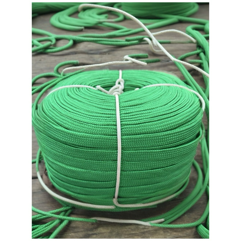 รูปภาพ 5