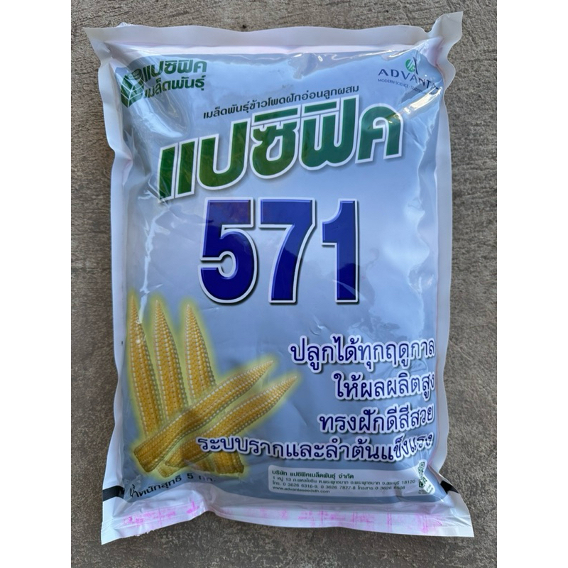 ข้าวโพดฝักอ่อนแปซิฟิค571