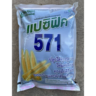ข้าวโพดฝักอ่อนแปซิฟิค571