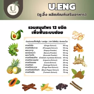 U.ENG ยู.อิ้ง ผลิตภัณฑ์เสริมอาหาร เพื่อฟื้นฟูระบบย่อย แก้กรดไหลย้อน ลมจุกแน่น อาหารไม่ย่อย ถ่ายยาก 1 กระปุก 40 แคปซูล