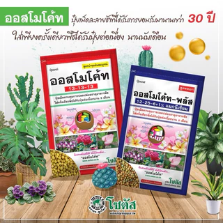 💙ออสโมโค้ท - พลัส สูตร 12-25-6)💙 ส่งเสริมการออกดอก✔️บำรุงดอก ดอกสมบูรณ์ ใส่ครั้งนึงอยู่ได้6เดือน